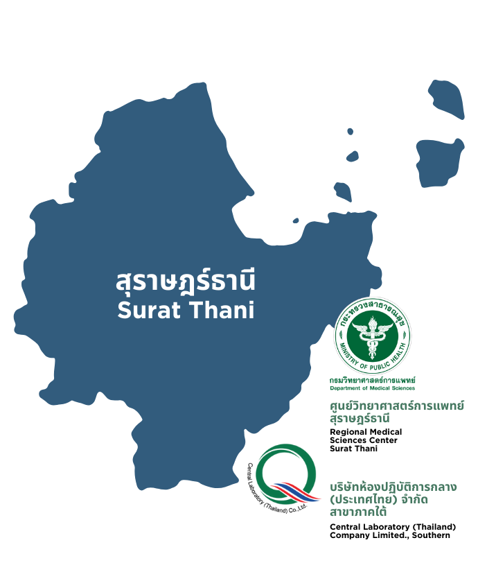 Surat Thani